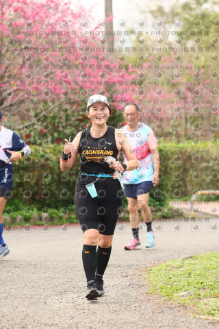 2026左岸竹東櫻花馬拉松Zhudong Sakura Marathon