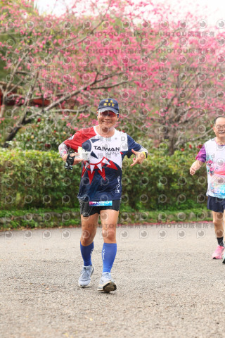 2026左岸竹東櫻花馬拉松Zhudong Sakura Marathon