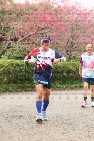 2026左岸竹東櫻花馬拉松Zhudong Sakura Marathon