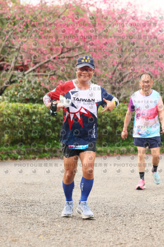 2026左岸竹東櫻花馬拉松Zhudong Sakura Marathon