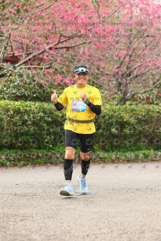 2026左岸竹東櫻花馬拉松Zhudong Sakura Marathon