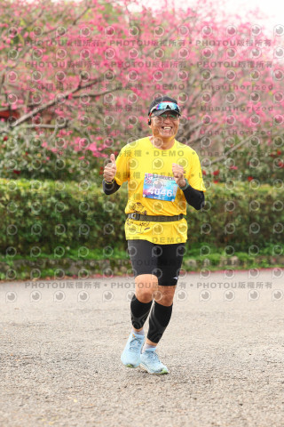 2026左岸竹東櫻花馬拉松Zhudong Sakura Marathon