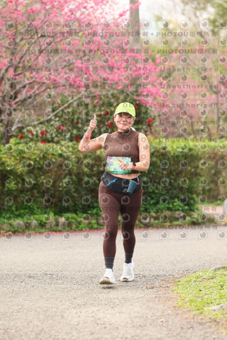 2026左岸竹東櫻花馬拉松Zhudong Sakura Marathon