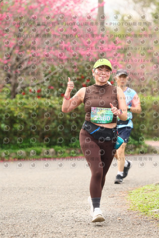 2026左岸竹東櫻花馬拉松Zhudong Sakura Marathon