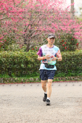 2026左岸竹東櫻花馬拉松Zhudong Sakura Marathon