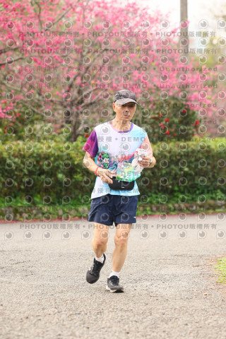 2026左岸竹東櫻花馬拉松Zhudong Sakura Marathon
