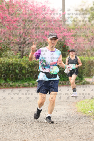 2026左岸竹東櫻花馬拉松Zhudong Sakura Marathon