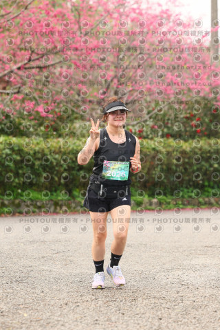2026左岸竹東櫻花馬拉松Zhudong Sakura Marathon