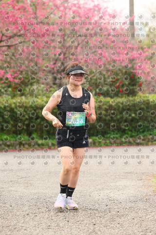 2026左岸竹東櫻花馬拉松Zhudong Sakura Marathon