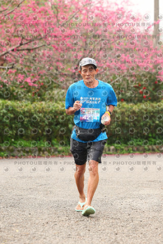 2026左岸竹東櫻花馬拉松Zhudong Sakura Marathon