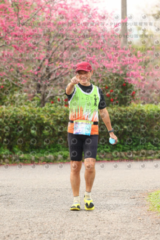 2026左岸竹東櫻花馬拉松Zhudong Sakura Marathon