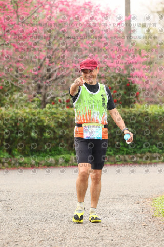 2026左岸竹東櫻花馬拉松Zhudong Sakura Marathon
