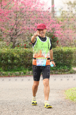 2026左岸竹東櫻花馬拉松Zhudong Sakura Marathon