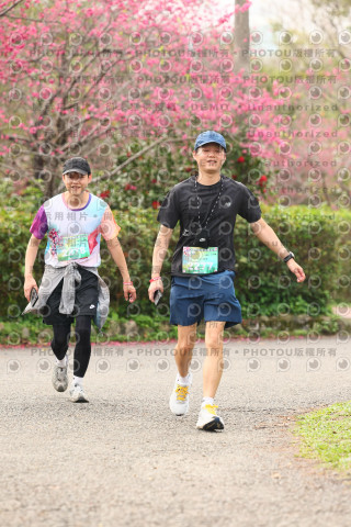 2026左岸竹東櫻花馬拉松Zhudong Sakura Marathon