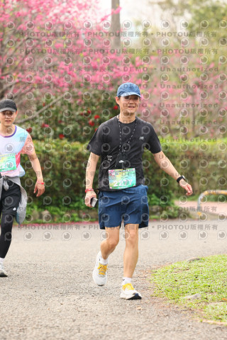 2026左岸竹東櫻花馬拉松Zhudong Sakura Marathon