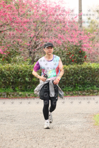 2026左岸竹東櫻花馬拉松Zhudong Sakura Marathon