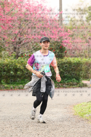 2026左岸竹東櫻花馬拉松Zhudong Sakura Marathon