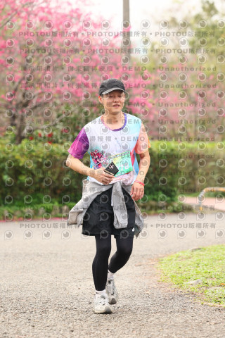 2026左岸竹東櫻花馬拉松Zhudong Sakura Marathon