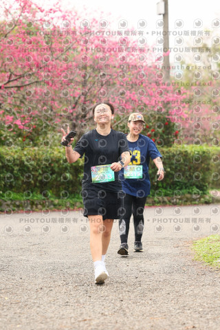 2026左岸竹東櫻花馬拉松Zhudong Sakura Marathon