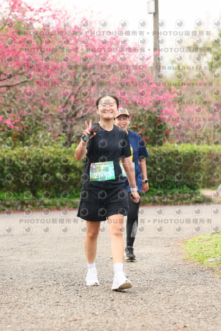 2026左岸竹東櫻花馬拉松Zhudong Sakura Marathon