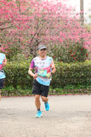 2026左岸竹東櫻花馬拉松Zhudong Sakura Marathon