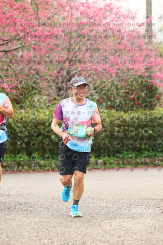 2026左岸竹東櫻花馬拉松Zhudong Sakura Marathon