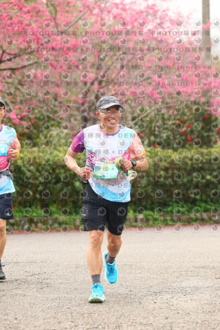 2026左岸竹東櫻花馬拉松Zhudong Sakura Marathon