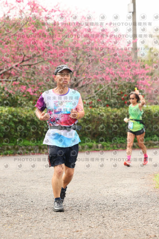 2026左岸竹東櫻花馬拉松Zhudong Sakura Marathon