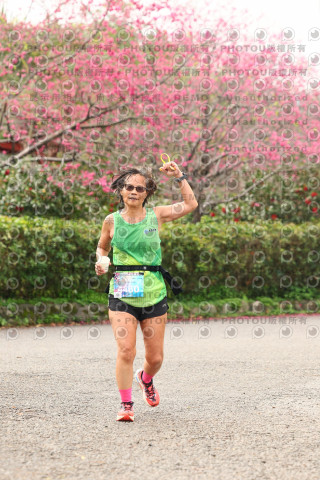 2026左岸竹東櫻花馬拉松Zhudong Sakura Marathon
