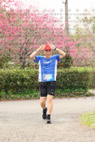 2026左岸竹東櫻花馬拉松Zhudong Sakura Marathon