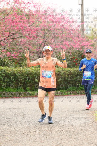 2026左岸竹東櫻花馬拉松Zhudong Sakura Marathon