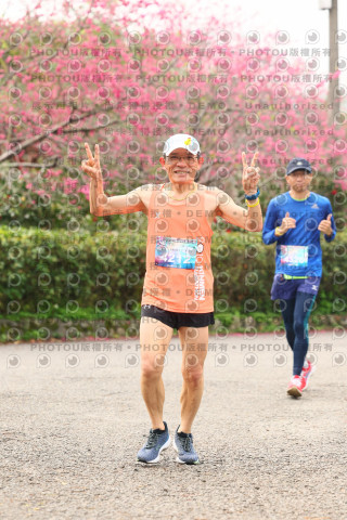 2026左岸竹東櫻花馬拉松Zhudong Sakura Marathon