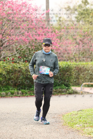 2026左岸竹東櫻花馬拉松Zhudong Sakura Marathon