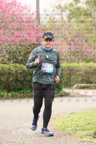 2026左岸竹東櫻花馬拉松Zhudong Sakura Marathon