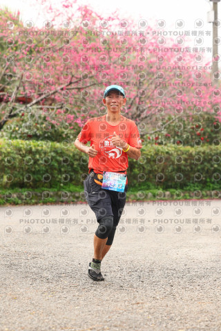 2026左岸竹東櫻花馬拉松Zhudong Sakura Marathon