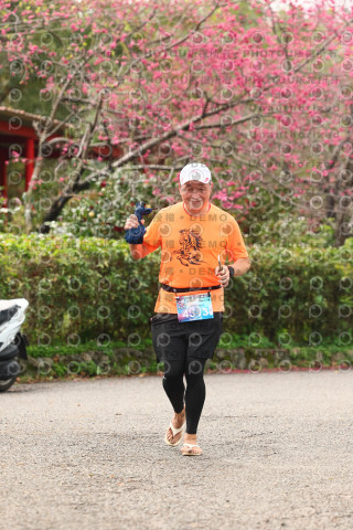 2026左岸竹東櫻花馬拉松Zhudong Sakura Marathon