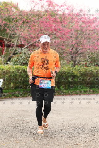 2026左岸竹東櫻花馬拉松Zhudong Sakura Marathon