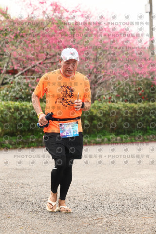 2026左岸竹東櫻花馬拉松Zhudong Sakura Marathon