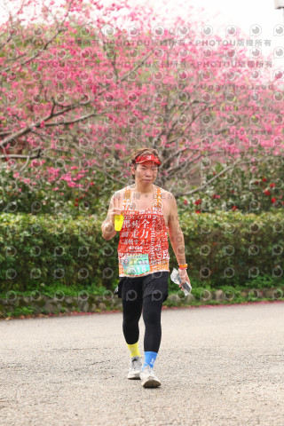 2026左岸竹東櫻花馬拉松Zhudong Sakura Marathon