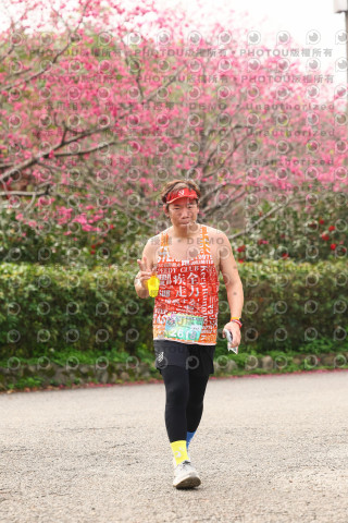 2026左岸竹東櫻花馬拉松Zhudong Sakura Marathon