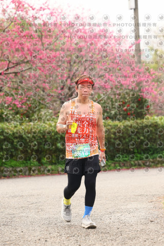 2026左岸竹東櫻花馬拉松Zhudong Sakura Marathon