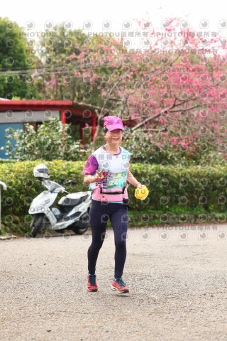 2026左岸竹東櫻花馬拉松Zhudong Sakura Marathon