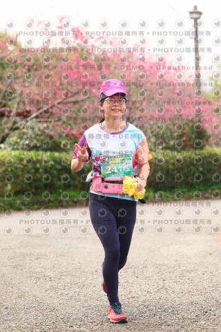 2026左岸竹東櫻花馬拉松Zhudong Sakura Marathon