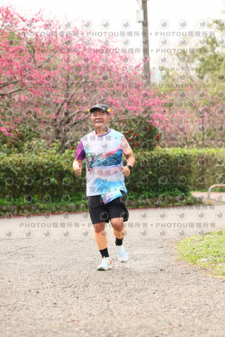 2026左岸竹東櫻花馬拉松Zhudong Sakura Marathon