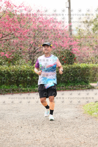 2026左岸竹東櫻花馬拉松Zhudong Sakura Marathon