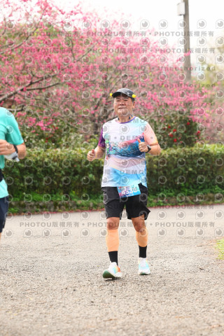 2026左岸竹東櫻花馬拉松Zhudong Sakura Marathon