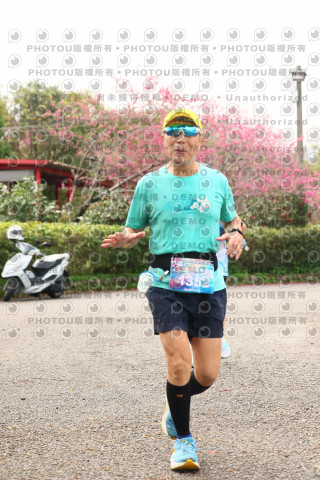 2026左岸竹東櫻花馬拉松Zhudong Sakura Marathon
