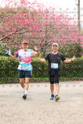 2026左岸竹東櫻花馬拉松Zhudong Sakura Marathon