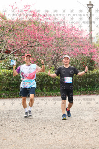 2026左岸竹東櫻花馬拉松Zhudong Sakura Marathon