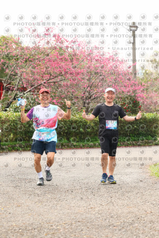 2026左岸竹東櫻花馬拉松Zhudong Sakura Marathon